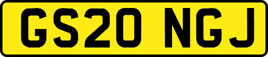 GS20NGJ