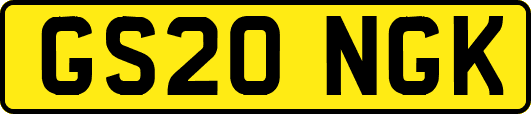GS20NGK