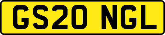 GS20NGL