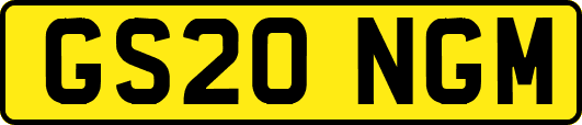 GS20NGM