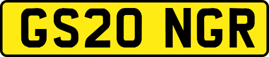 GS20NGR