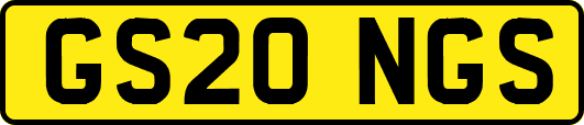 GS20NGS