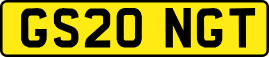GS20NGT
