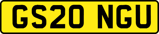 GS20NGU