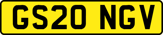 GS20NGV