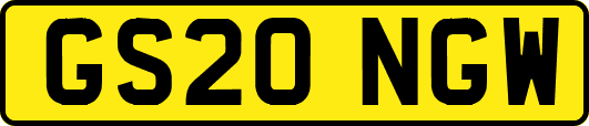GS20NGW