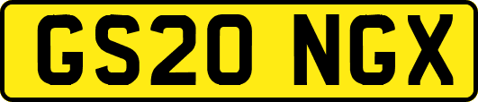 GS20NGX
