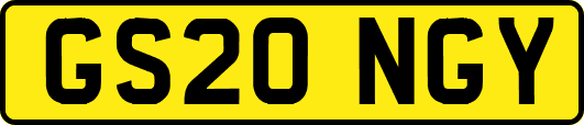 GS20NGY