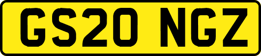 GS20NGZ