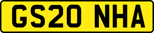 GS20NHA