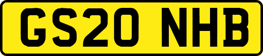 GS20NHB