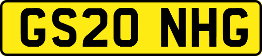 GS20NHG