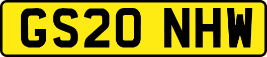 GS20NHW