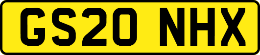 GS20NHX