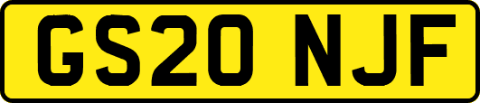 GS20NJF