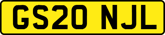 GS20NJL