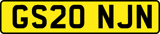 GS20NJN