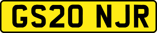 GS20NJR