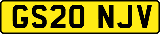 GS20NJV