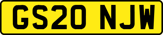 GS20NJW