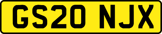 GS20NJX