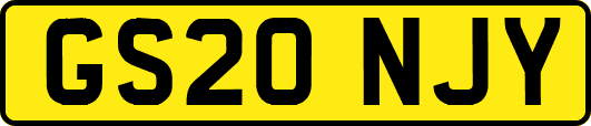 GS20NJY