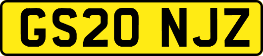 GS20NJZ