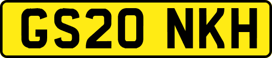 GS20NKH