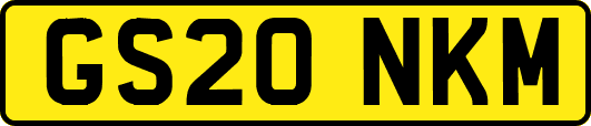GS20NKM