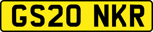 GS20NKR