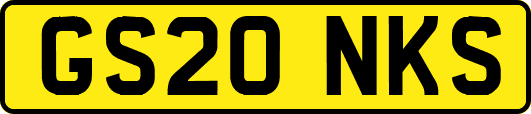 GS20NKS