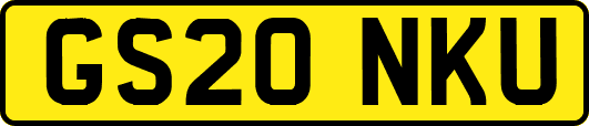 GS20NKU