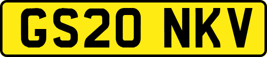GS20NKV