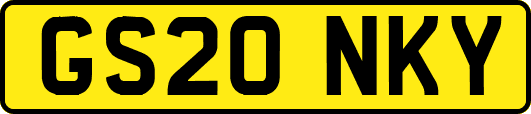 GS20NKY