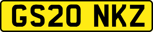 GS20NKZ