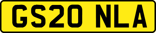 GS20NLA