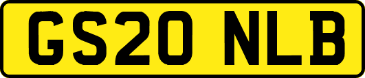 GS20NLB