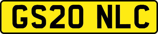 GS20NLC