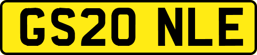 GS20NLE