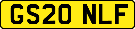 GS20NLF