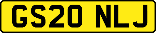 GS20NLJ