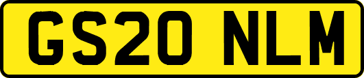 GS20NLM