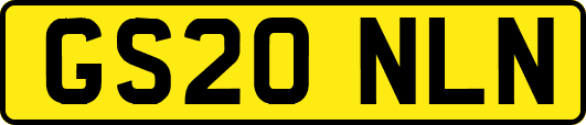 GS20NLN