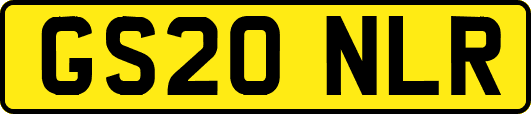 GS20NLR