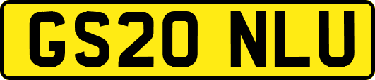 GS20NLU