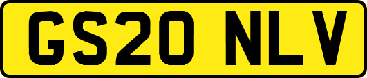 GS20NLV