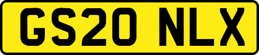 GS20NLX