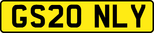 GS20NLY