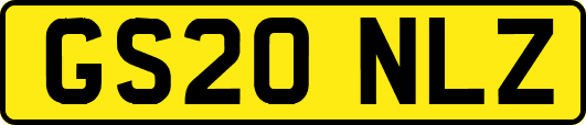 GS20NLZ