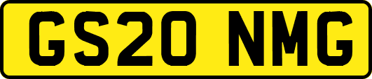 GS20NMG
